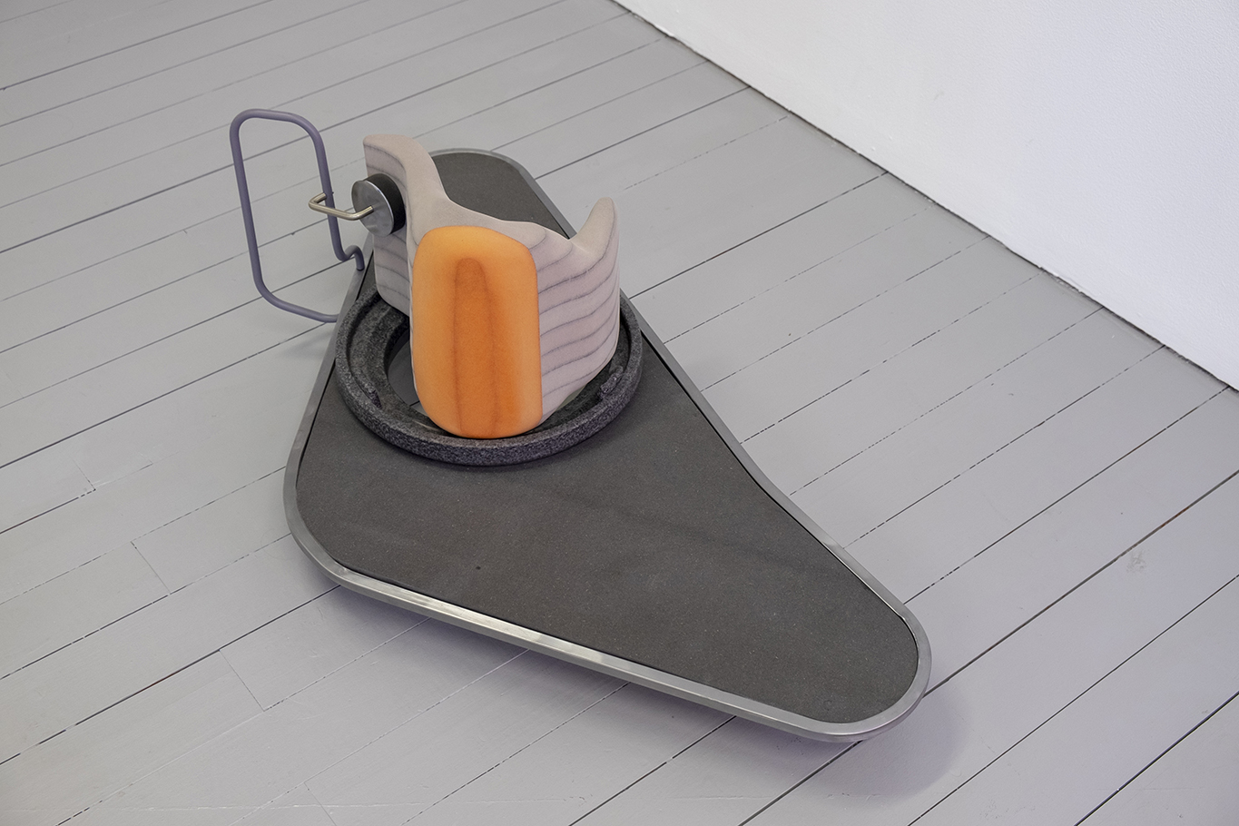 Carina Emery - Sensory Cells (Stethoscope), 2021